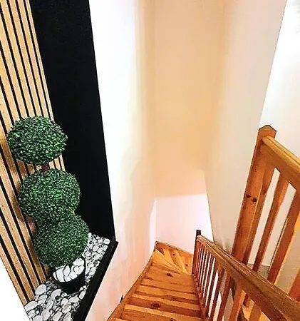 Duplex Ambiance Vegetale Hyper Centre * Le Puy-en-Velay