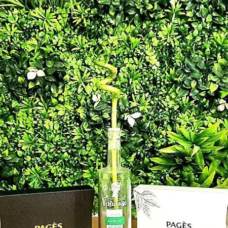 Appartamento Duplex Ambiance Vegetale Hyper Centre Le Puy-en-Velay