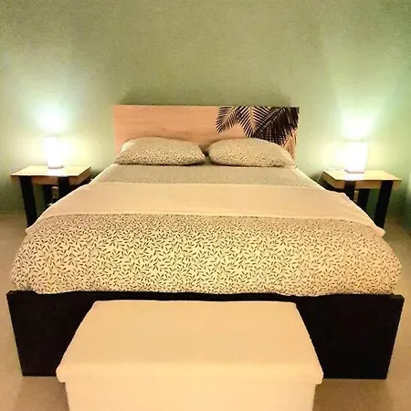 Duplex Ambiance Vegetale Hyper Centre *