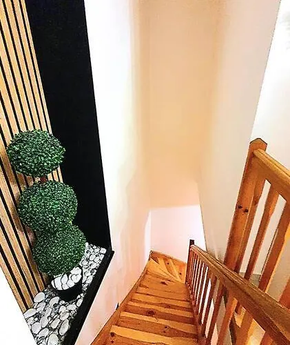 Duplex Ambiance Vegetale Hyper Centre * Le Puy-en-Velay