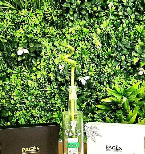 Appartement Duplex Ambiance Vegetale Hyper Centre Le Puy-en-Velay