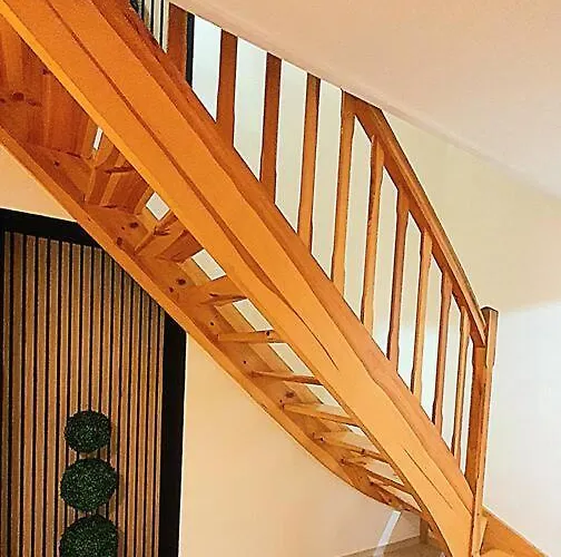 Duplex Ambiance Vegetale Hyper Centre Appartement