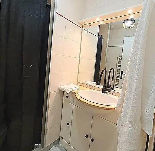 Appartement Duplex Ambiance Vegetale Hyper Centre *