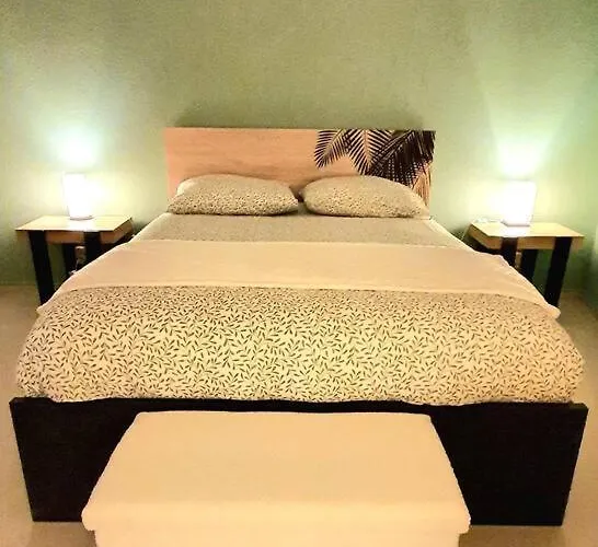 Duplex Ambiance Vegetale Hyper Centre *