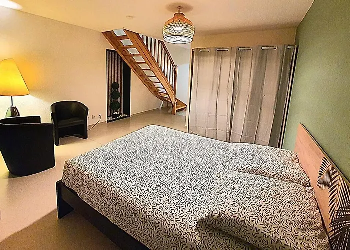 Appartement Duplex Ambiance Vegetale Hyper Centre Le Puy-en-Velay